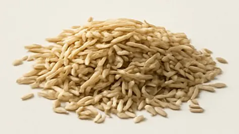 Psyllium